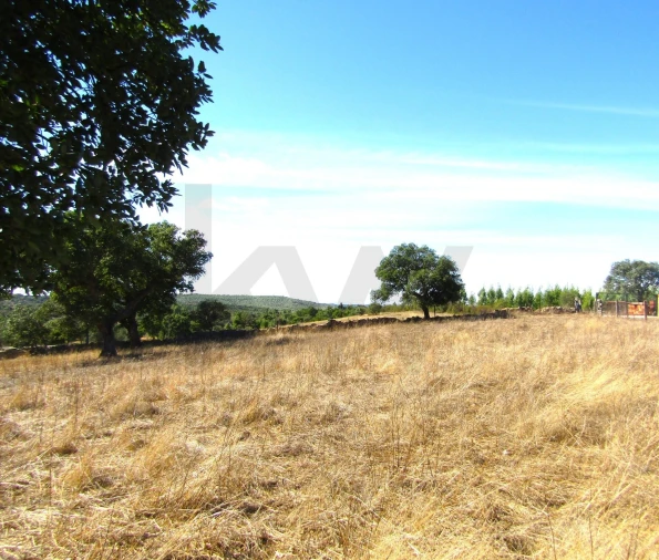 Terreno para Venda em São Matias Foto 1