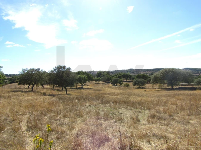 Terreno para Venda em São Matias Foto 3