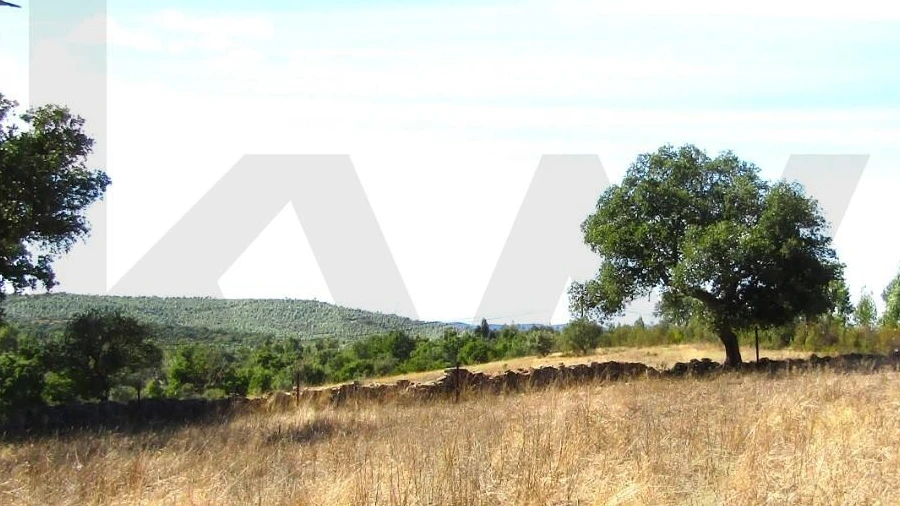 Terreno para Venda em São Matias