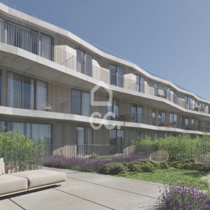 Prédio para Venda em Paranhos Foto 18