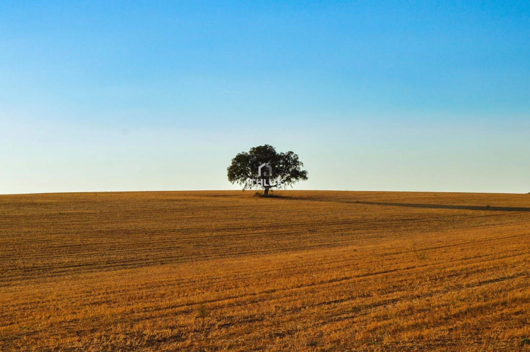Moradia T2 para Venda em São João Baptista Foto 14