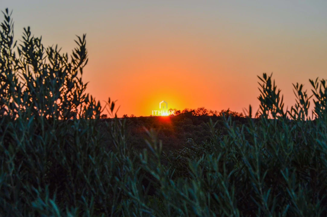 Moradia T2 para Venda em São João Baptista Foto 13