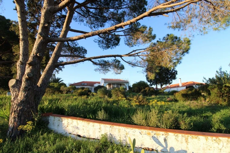 Moradia T4 para Venda em Lagos (São Sebastião e Santa Maria) Foto 75