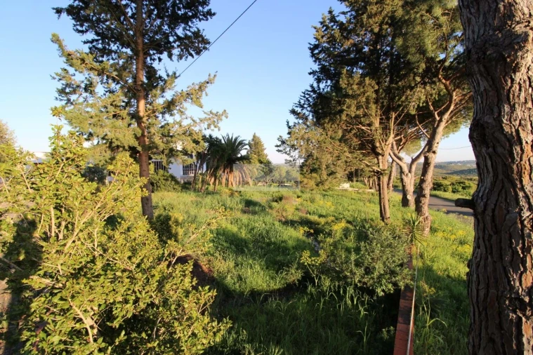 Moradia T4 para Venda em Lagos (São Sebastião e Santa Maria) Foto 69