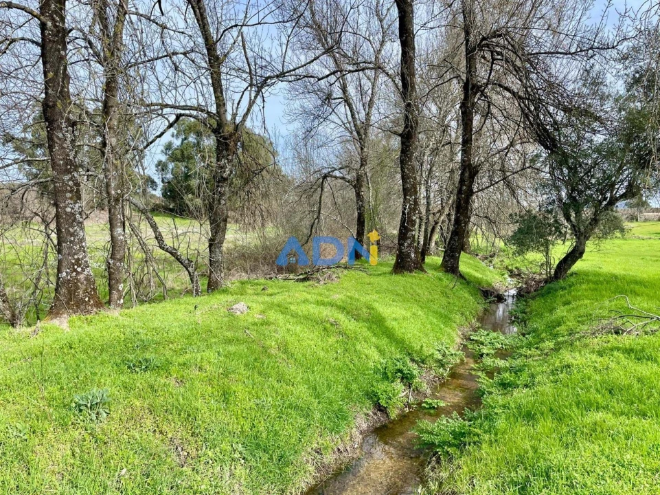 Quinta T1 para Venda em Medelim Foto 62