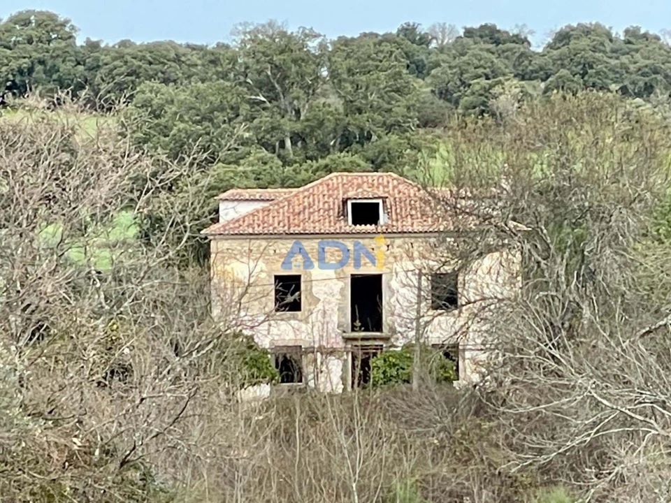 Quinta T1 para Venda em Medelim Foto 25