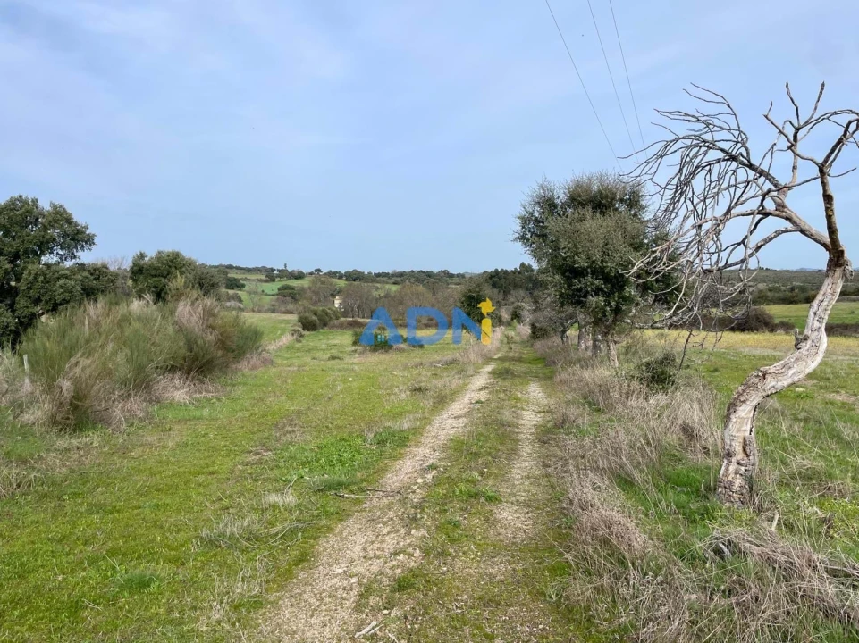 Quinta T1 para Venda em Medelim Foto 18