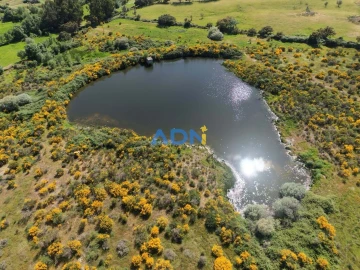 Quinta T1 para Venda em Medelim