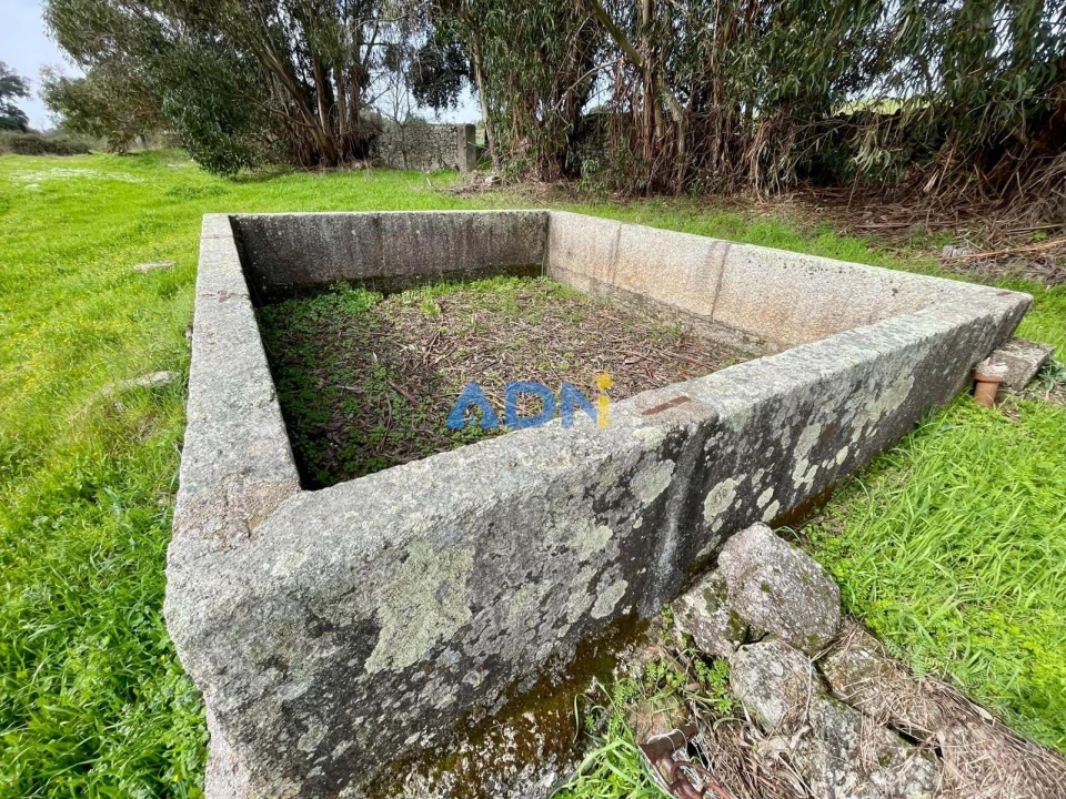 Quinta T1 para Venda em Medelim Foto 45