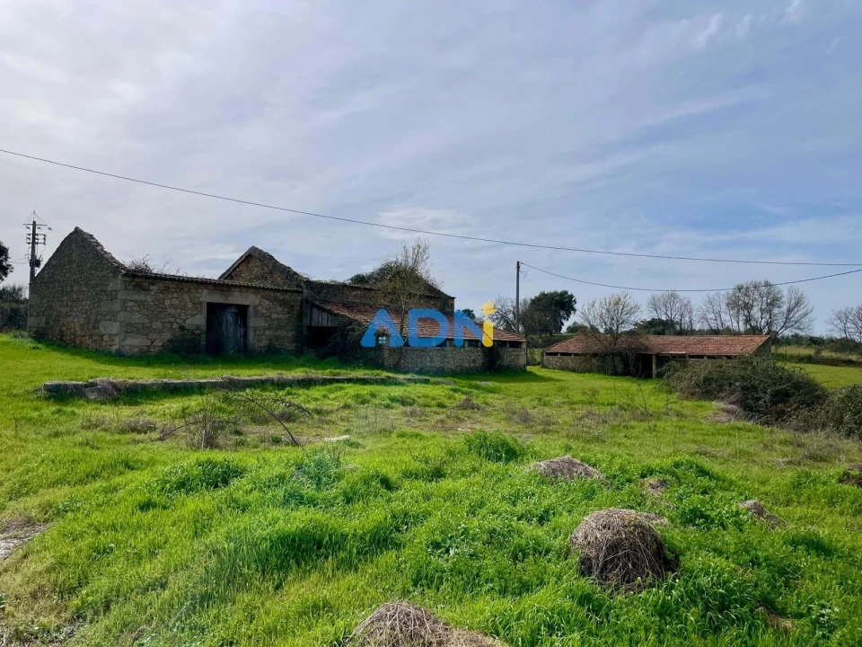 Quinta T1 para Venda em Medelim Foto 36