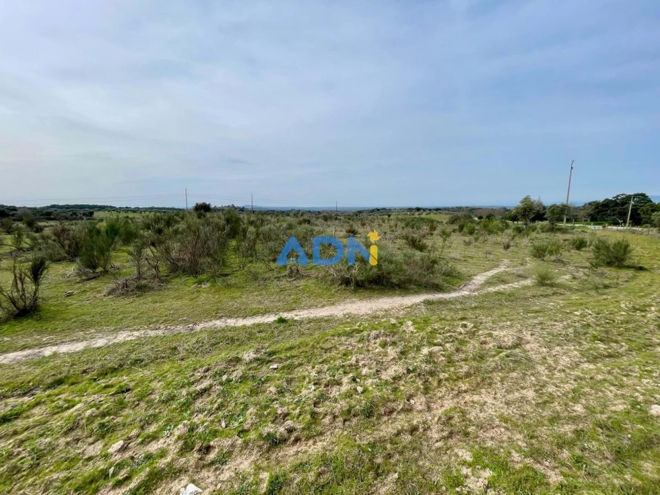 Quinta T1 para Venda em Medelim Foto 15