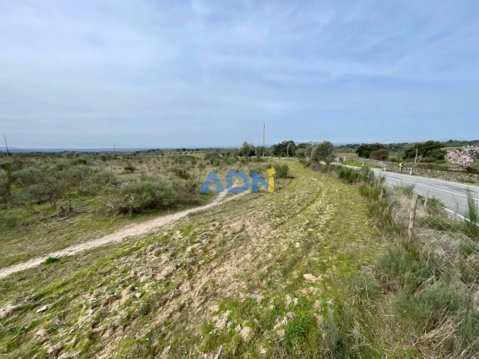 Quinta T1 para Venda em Medelim Foto 14