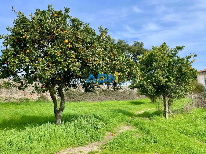 Quinta T1 para Venda em Medelim Foto 59