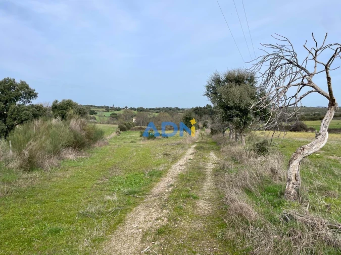 Quinta T1 para Venda em Medelim Foto 18