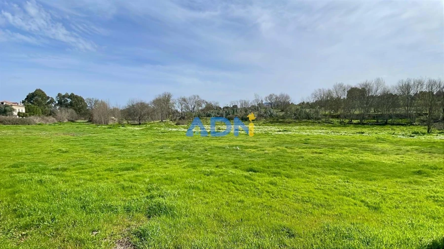 Quinta T1 para Venda em Medelim Foto 51