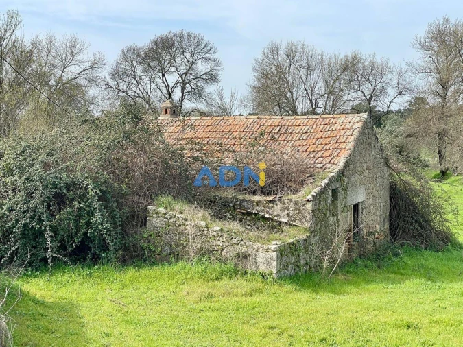 Quinta T1 para Venda em Medelim Foto 38