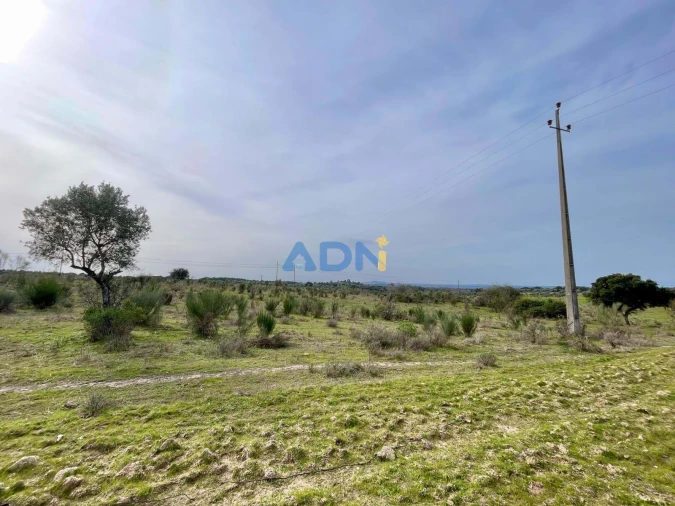 Quinta T1 para Venda em Medelim Foto 12