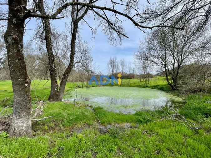 Quinta T1 para Venda em Medelim Foto 29