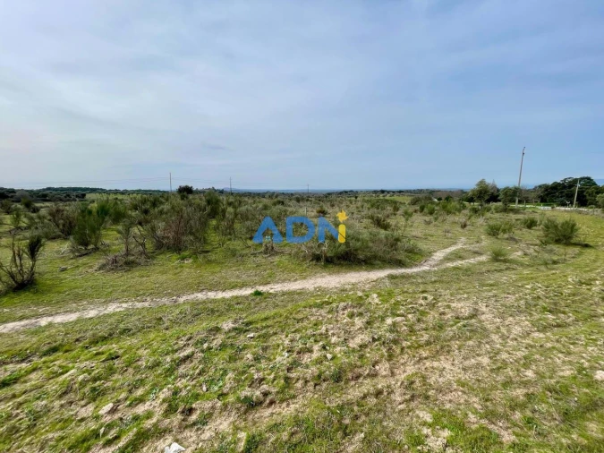 Quinta T1 para Venda em Medelim Foto 15