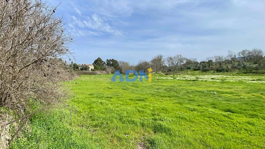 Quinta T1 para Venda em Medelim Foto 50