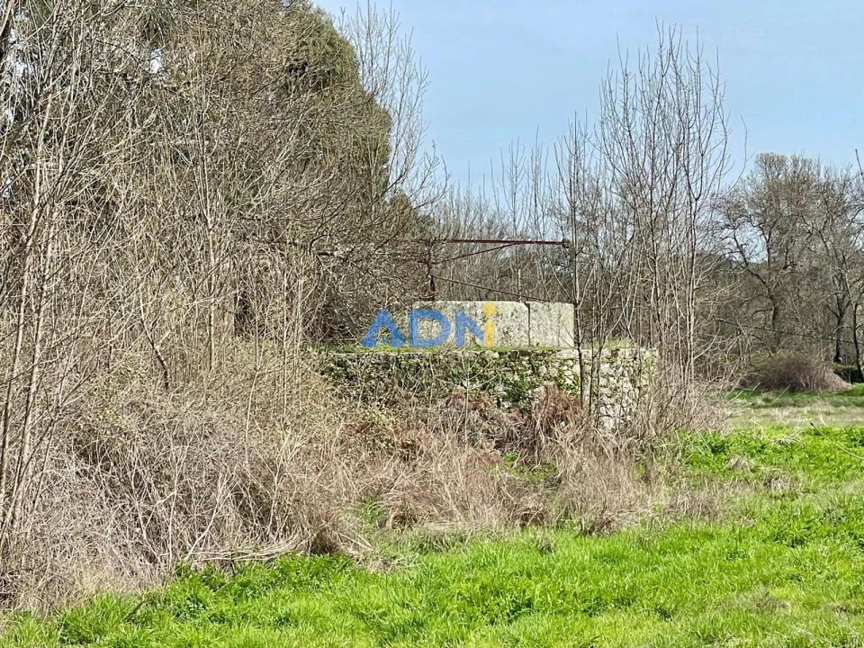 Quinta T1 para Venda em Medelim Foto 10