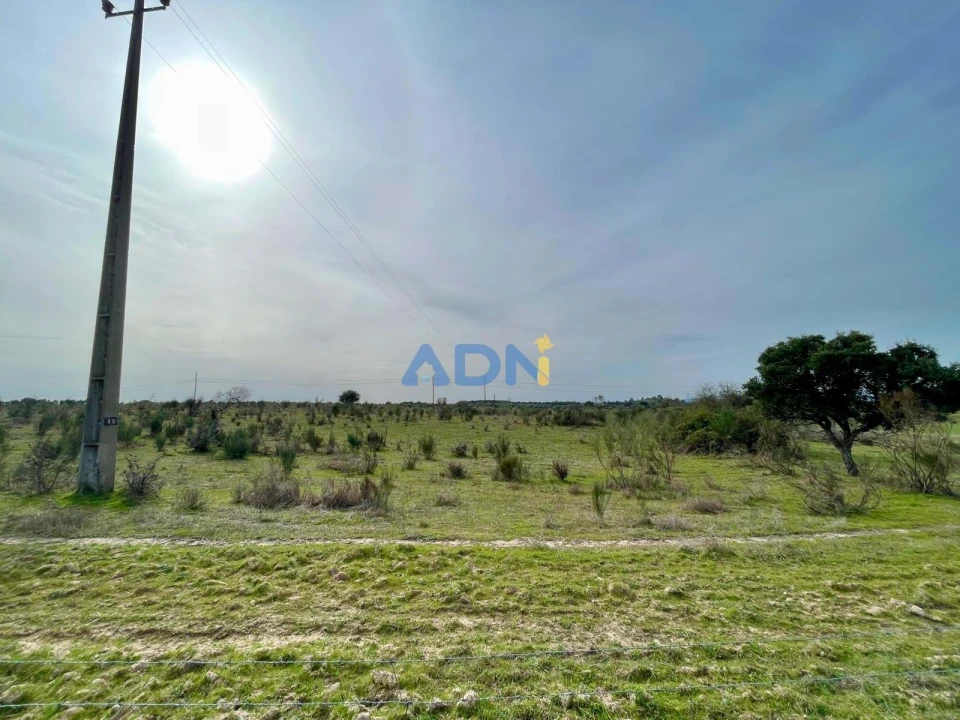 Quinta T1 para Venda em Medelim Foto 13