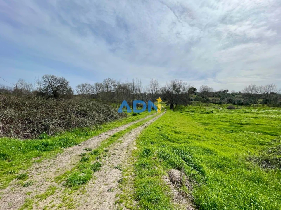 Quinta T1 para Venda em Medelim Foto 58