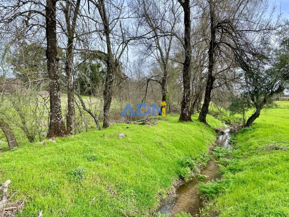 Quinta T1 para Venda em Medelim Foto 27