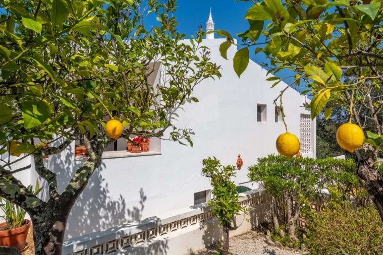 Moradia T3 para Venda em São Brás de Alportel Foto 29