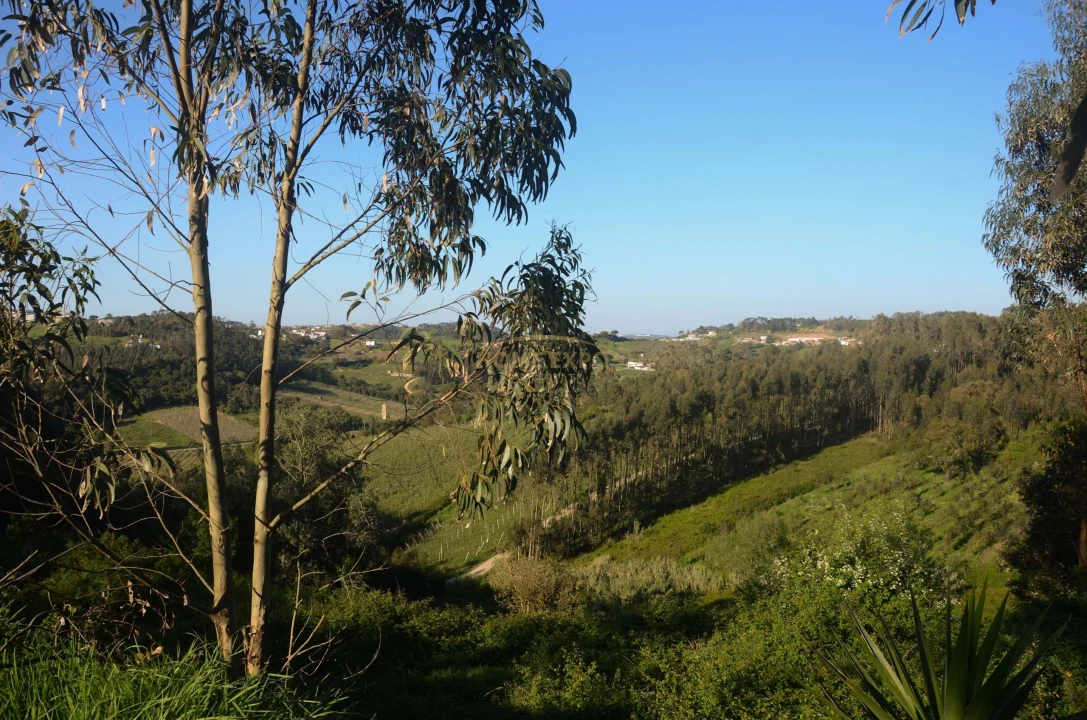 Terreno Agricola ou Rústico para Venda em Santa Catarina Foto 7