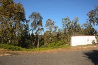 Terreno Agricola ou Rústico para Venda em Santa Catarina