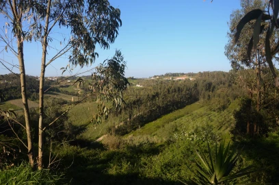 Terreno Agricola ou Rústico para Venda em Santa Catarina
