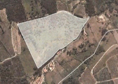 Terreno Agricola ou Rústico para Venda em Santa Catarina