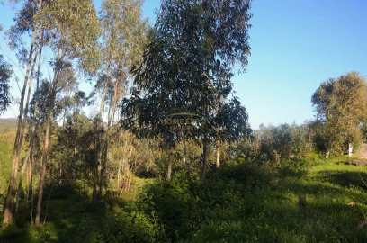 Terreno Agricola ou Rústico para Venda em Santa Catarina