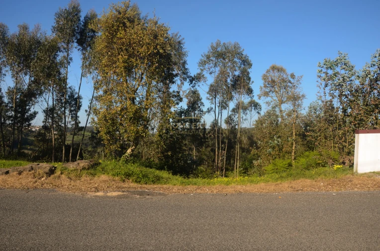 Terreno Agricola ou Rústico para Venda em Santa Catarina Foto 2
