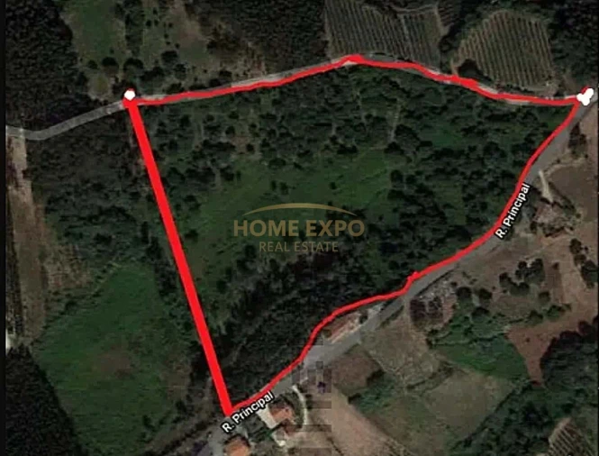 Terreno Agricola ou Rústico para Venda em Santa Catarina Foto 9