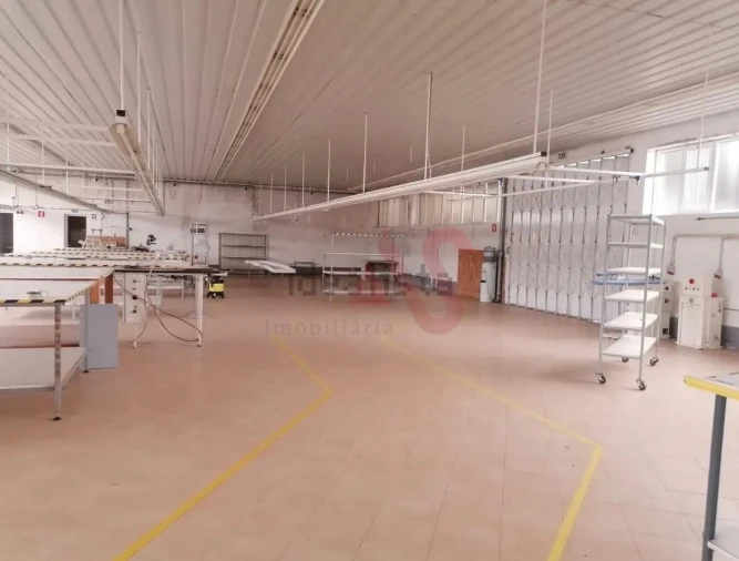 Negócio para Venda em Raimonda Foto 2