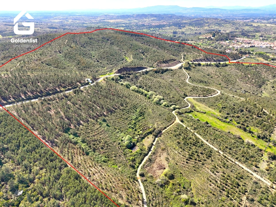 Quinta T0 para Venda em Penamacor Foto 40