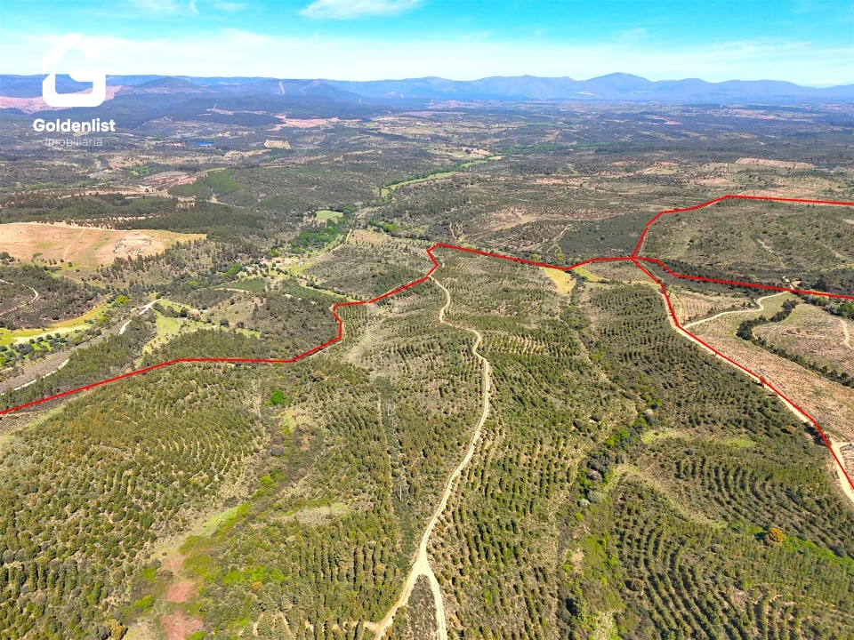 Quinta T0 para Venda em Penamacor Foto 38