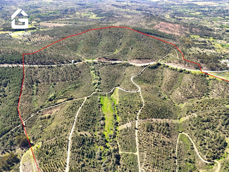 Quinta T0 para Venda em Penamacor Foto 42