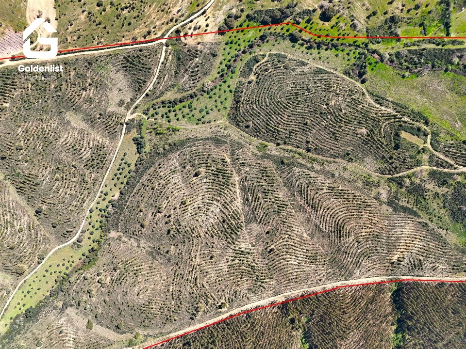 Quinta T0 para Venda em Penamacor Foto 12