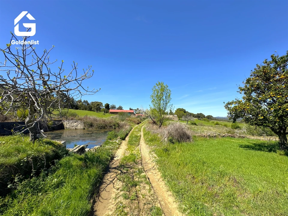 Quinta T0 para Venda em Penamacor Foto 17
