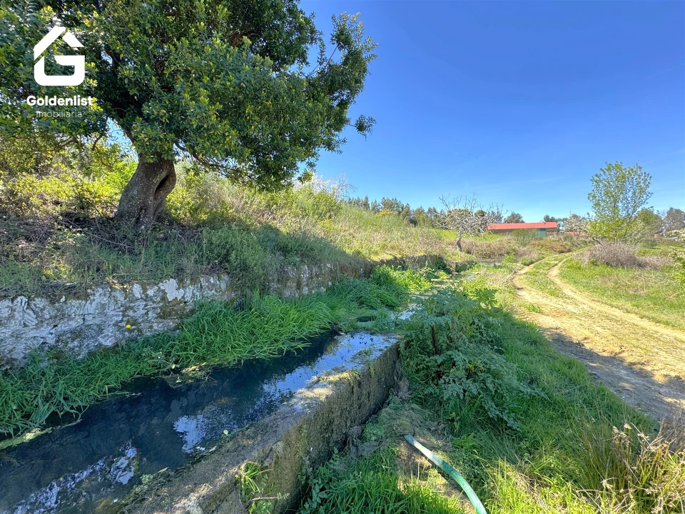 Quinta T0 para Venda em Penamacor Foto 16