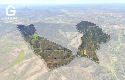 Quinta T0 para Venda em Penamacor