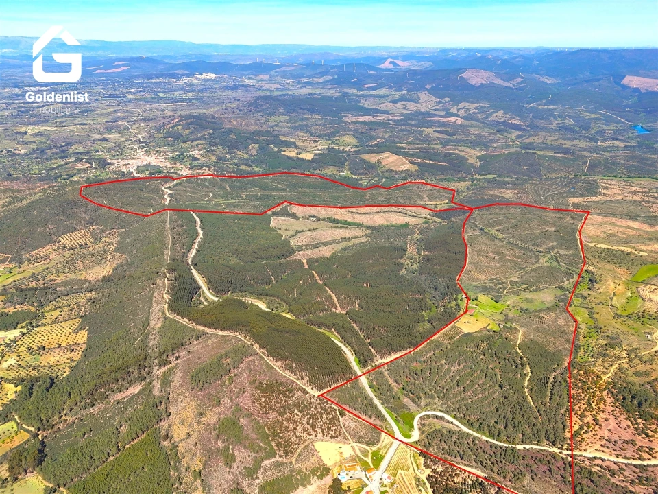 Quinta T0 para Venda em Penamacor Foto 34