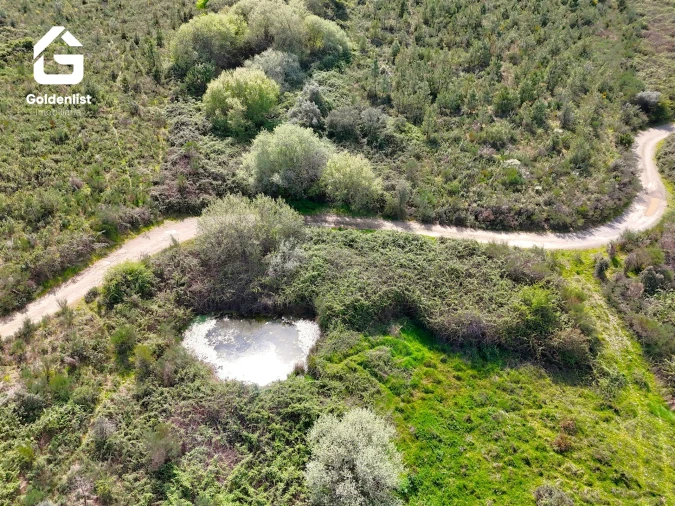 Quinta T0 para Venda em Penamacor Foto 45