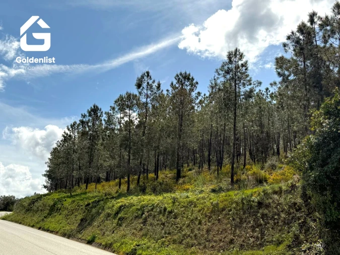 Quinta T0 para Venda em Penamacor Foto 15