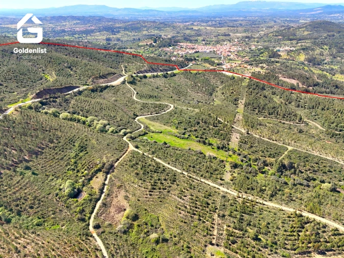 Quinta T0 para Venda em Penamacor Foto 41