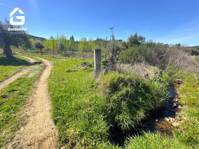 Quinta T0 para Venda em Penamacor Foto 31