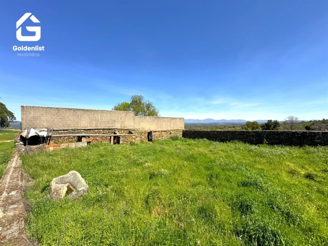 Quinta T0 para Venda em Penamacor Foto 19